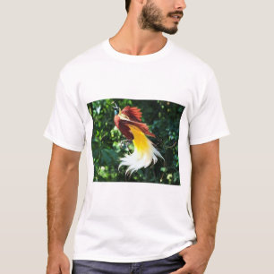 Pássaro Tropical da Bela Camisa do Paraíso