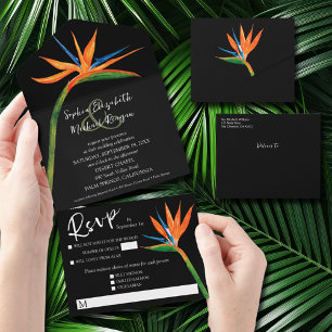 Pássaro Tropical do Casamento do Paraíso