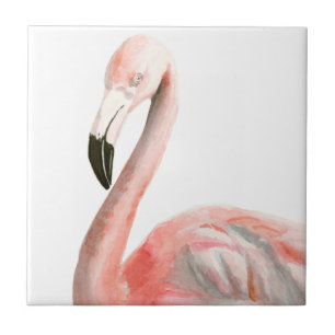 Pássaro Tropical Flamingo