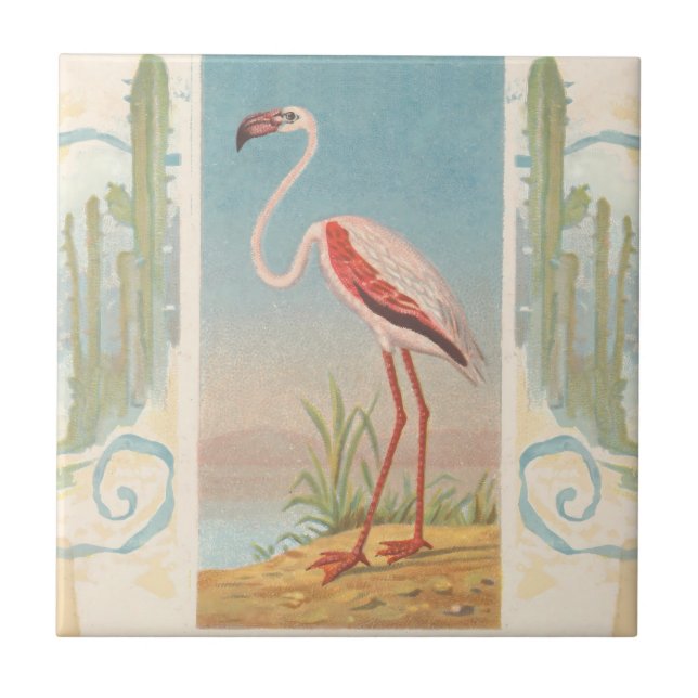 Pássaro Tropical Flamingo Rug Vintage (Frente)