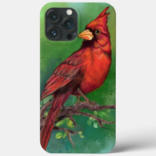 Pássaro Vermelho Belo Norte - Pintura