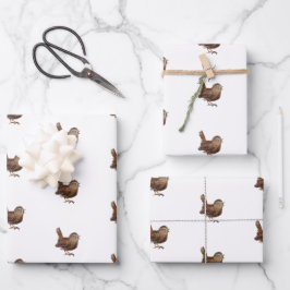 Pássaro Wren (Troglodytes Troglodytes)