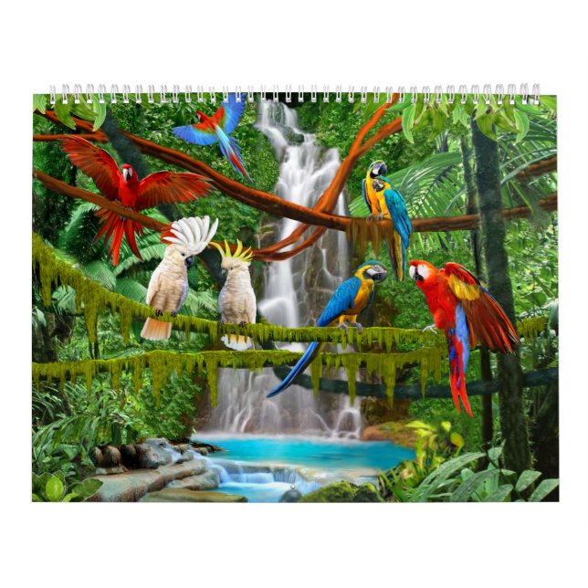 PÁSSAROS #1 DO CALENDÁRIO (Capa)