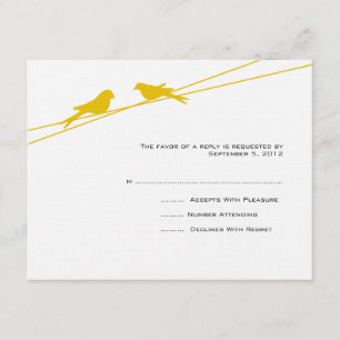 Pássaros Amarelos e Brancos em um RSVP de Fios