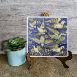 Pássaros Azuis Antigos Gaivota Pelicano