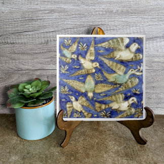 Pássaros Azuis Antigos Gaivota Pelicano