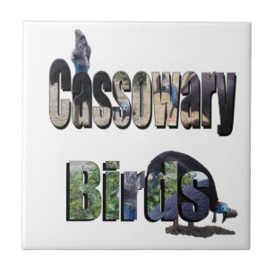 Pássaros Cassowary É O Nome,