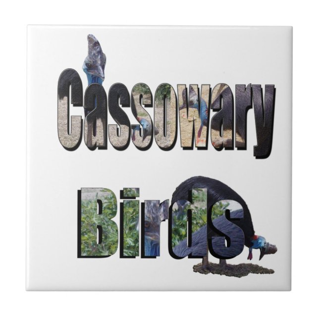 Pássaros Cassowary É O Nome, (Frente)