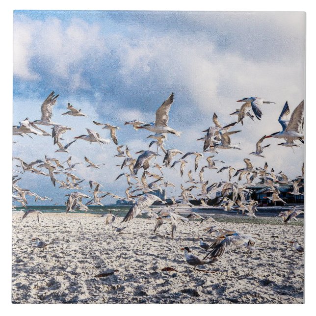 Pássaros crescendo (Frente)