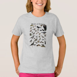 Pássaros da camisa de Europa