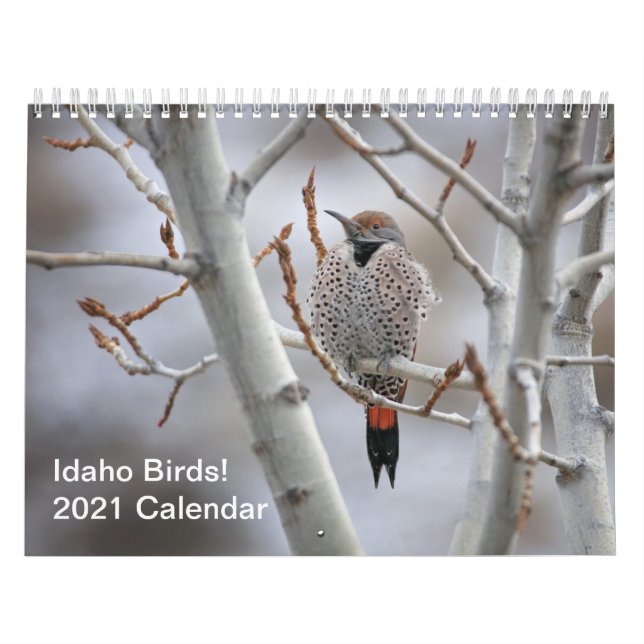 Pássaros de Idaho! Calendário 2021 (Capa)
