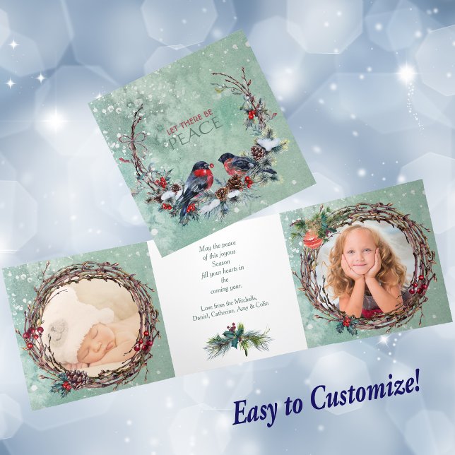 Pássaros de inverno Pine Wreath Modelo de Foto Nat (Criador carregado)