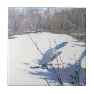 Pássaros de Jay Azul em uma Paisagem de inverno