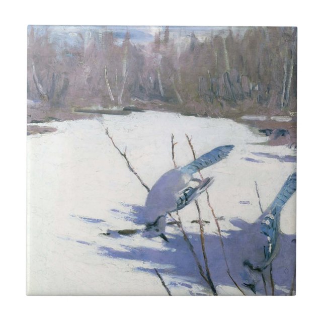 Pássaros de Jay Azul em uma Paisagem de inverno (Frente)