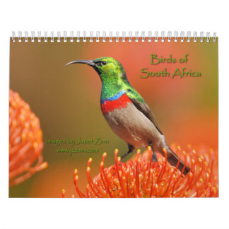 Pássaros do calendário de África do Sul