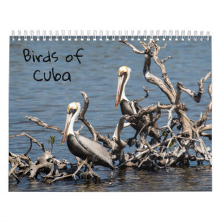 Pássaros do calendário de Cuba