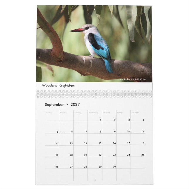 Pássaros do calendário de Etiópia (Set 2027)