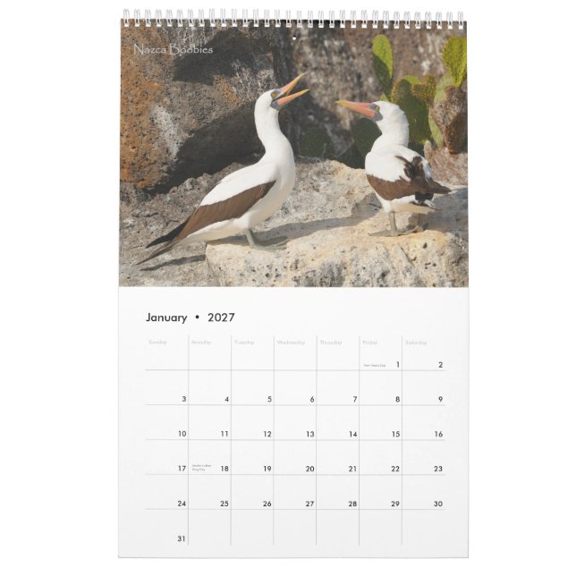 Pássaros do calendário de Galápagos (Jan 2027)