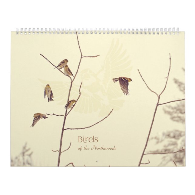 Pássaros do calendário de Northwoods (Capa)
