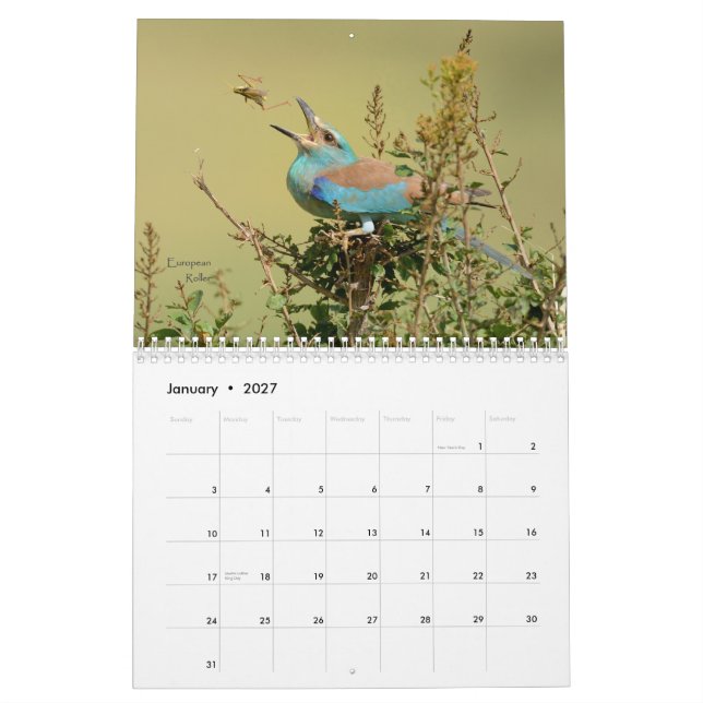 Pássaros do calendário de Tanzânia (Jan 2027)