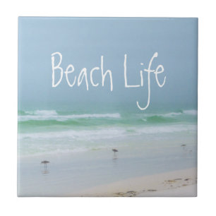 Pássaros do mar da praia azul