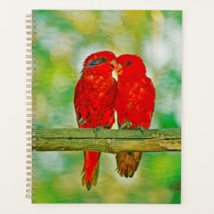 Pássaros do planejador amor