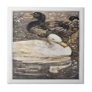 Pássaros Dois Patos Arte Vitoriana