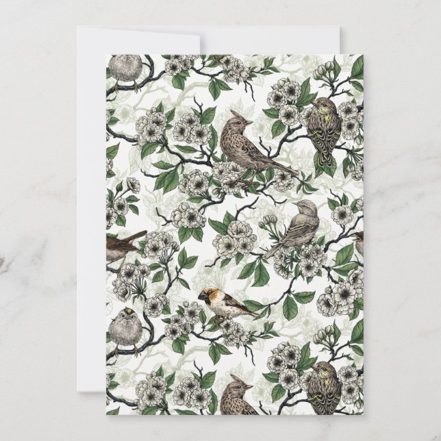 Pássaros e flor de cerejeira em branco (Frente)