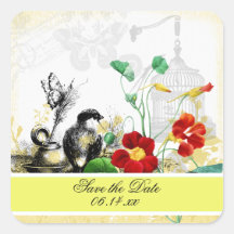 Pássaros e nastúrbios laranja salvam adesivos de d