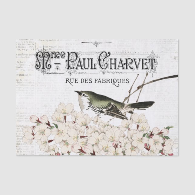 Pássaros e Papel Tecido Magnético (Frente )