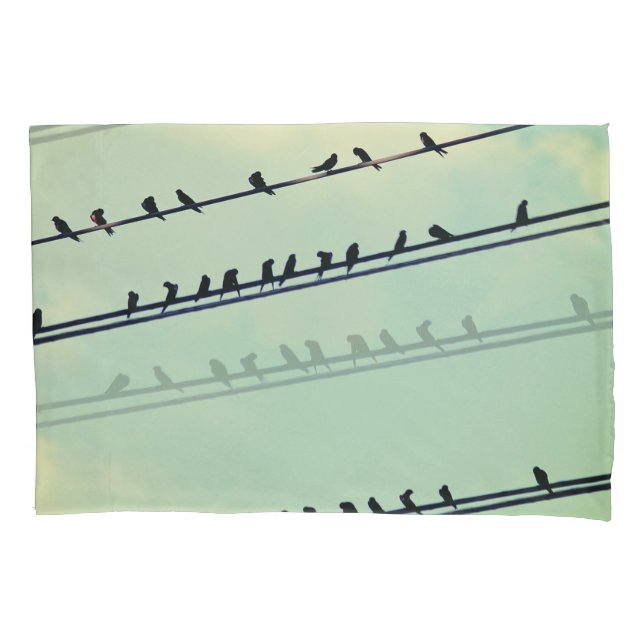 Pássaros em fios, céu azul antigo. (Frente)