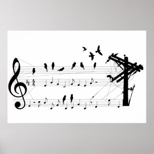 Pássaros em um poster da contagem