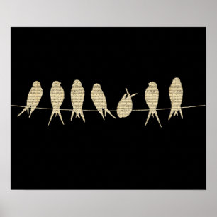 Pássaros em um poster do fio