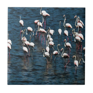 Pássaros Flamingo, Cor-de-Rosa e Branco, Em Azul-I