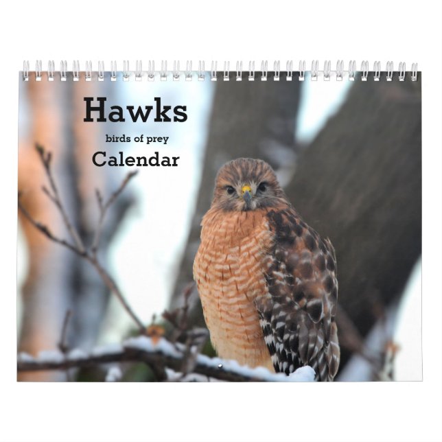 Pássaros Hawks de presas Calendário (Capa)