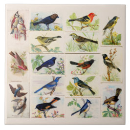 Pássaros Moídos Antigos