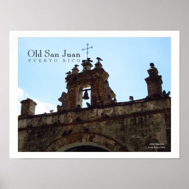 Pássaros no Poster San Juan Porto Rico (Frente)