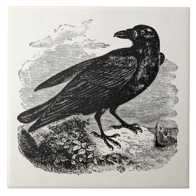 Pássaros personalizados corvo do pássaro do preto (Frente)