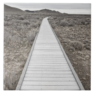 Passeio à beira mar através do deserto