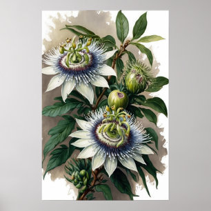 Passeio Branco, Impressão de Arte Flor Poster