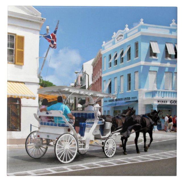 Passeio de Carruagem em Hamilton Bermudas (Frente)