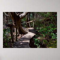 Passeio de floresta tropical com Impressão Steps