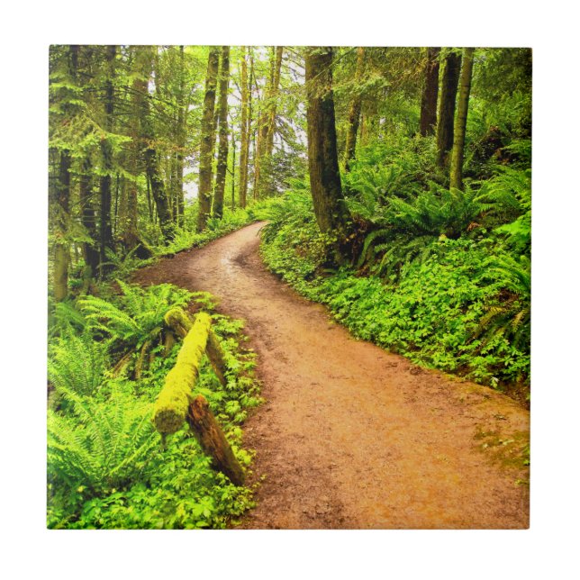 Passeio em Forest Park (Frente)