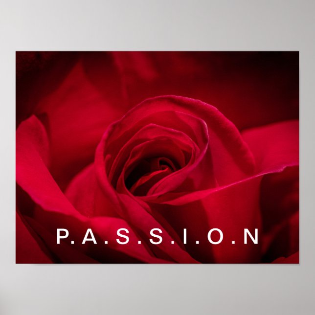 Passion Red Rose Poster (Frente)