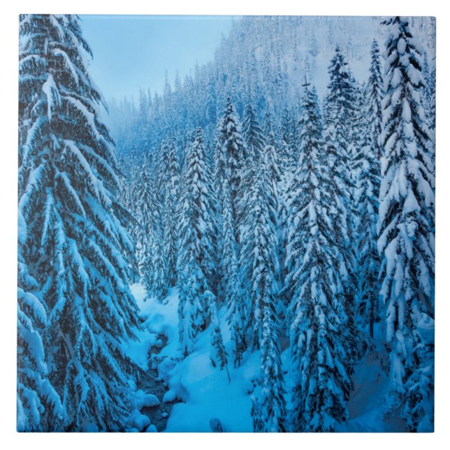 Passo Snoqualmie, Estado de Washington. (Frente)
