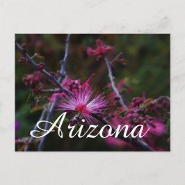 Pasta de fada rosa, cartão postal de Arizona