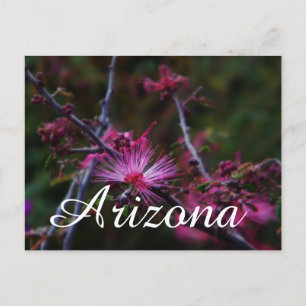 Pasta de fada rosa, cartão postal de Arizona