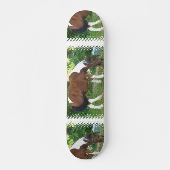Pastando o skate do pônei (Frente)