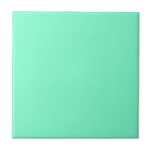 Pastel Aqua Marine Solid Color | Clássico | Elegan