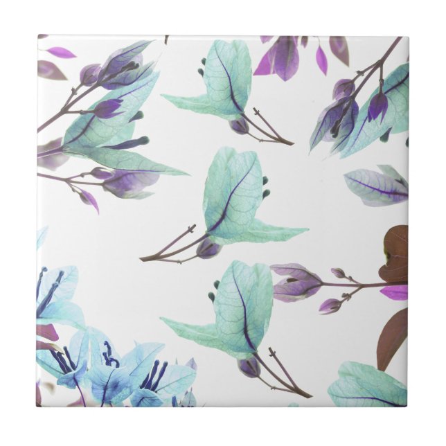 Pastel Colors Bougainvillea Flowers (Frente)